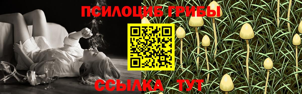 Галлюциногенные грибы прущие грибы Выборг