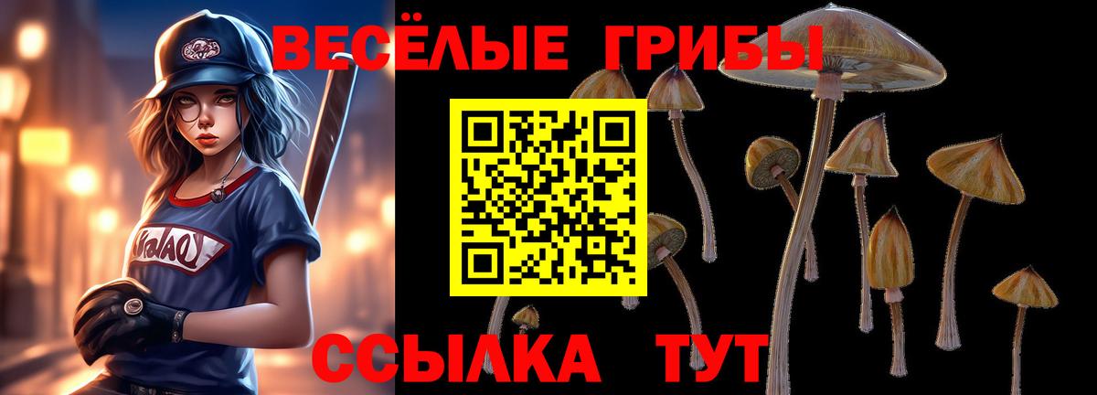 Галлюциногенные грибы GOLDEN TEACHER  Вход с VPN  Выборг  Псилоцибиновые грибы Psilocybine cubensis 